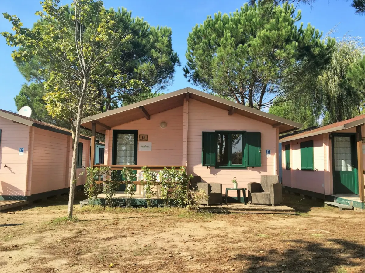 Chalets onder de pijnbomen